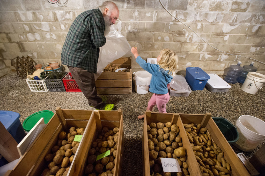 How to make DIY root cellar storage | Hello Homestead