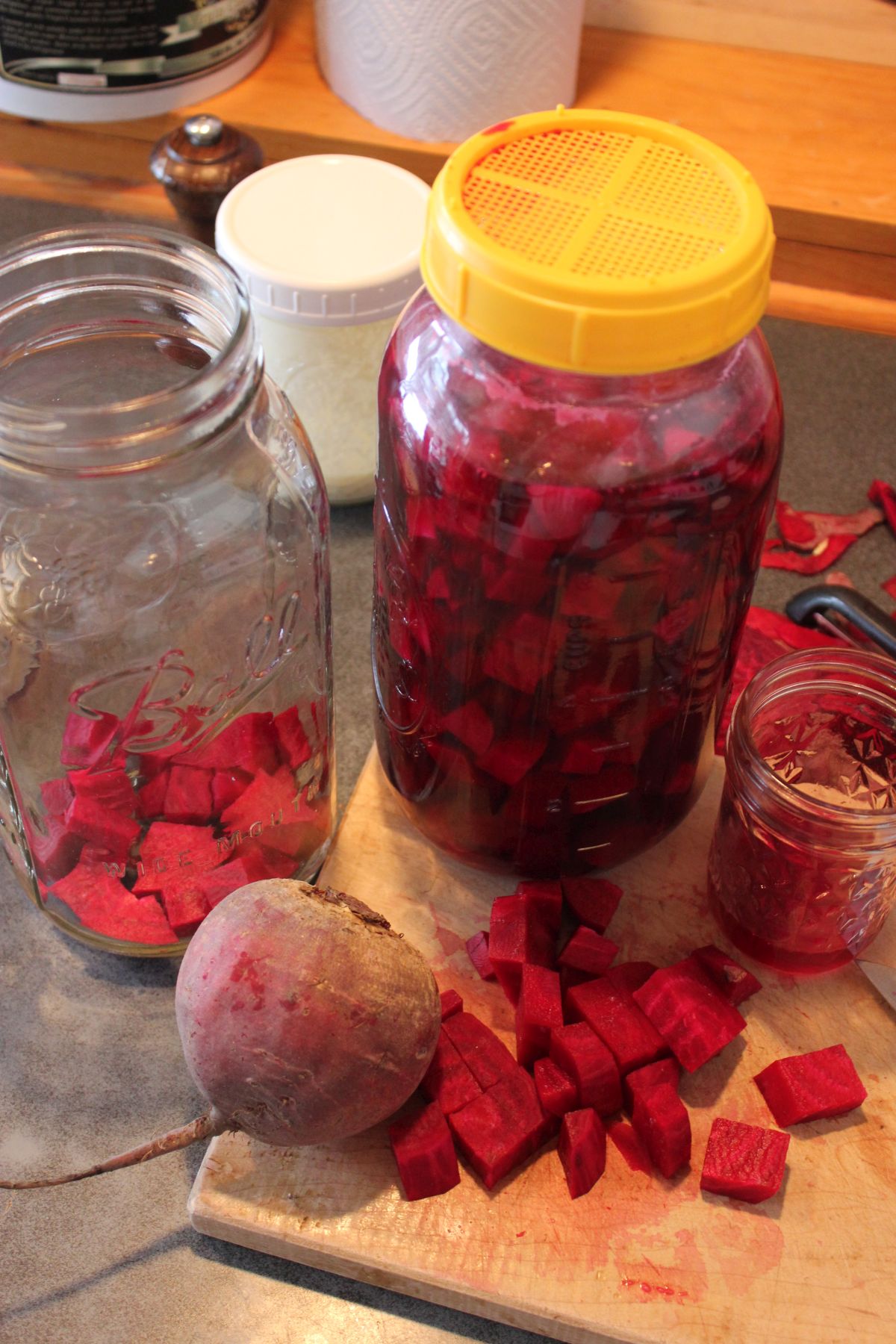 How to make beet kvass, a traditional tonic | Hello Homestead