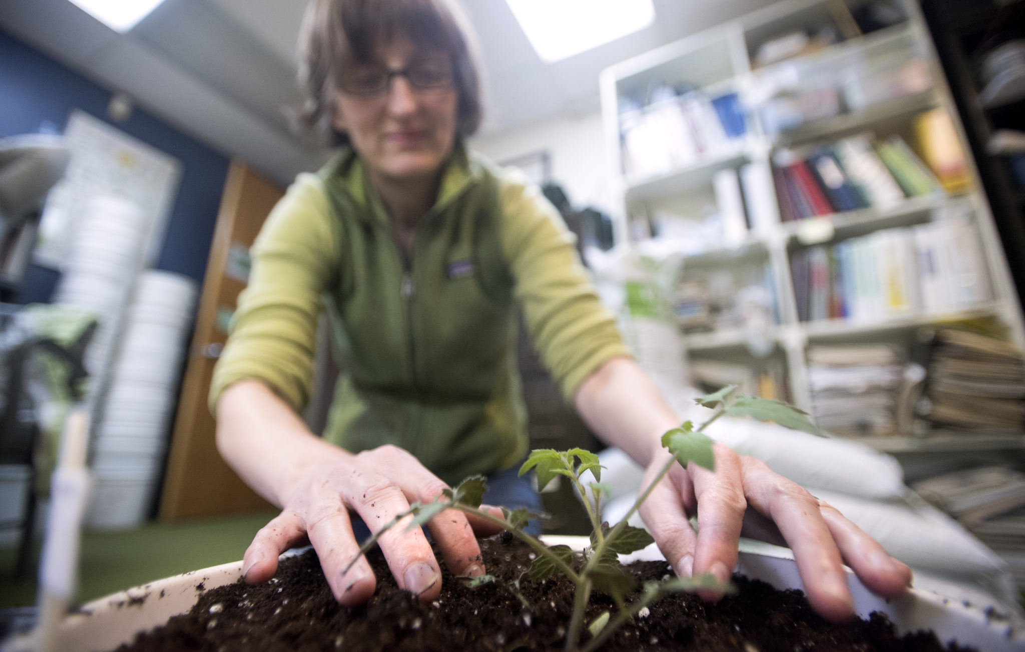 How a cooperative extension can help your homesteading efforts