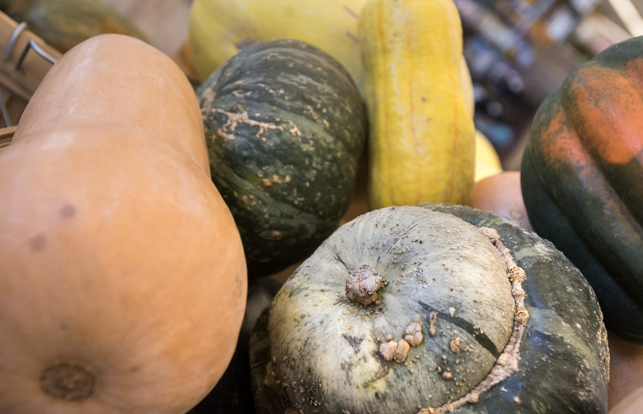 A guide to winter squash (with recipes!)