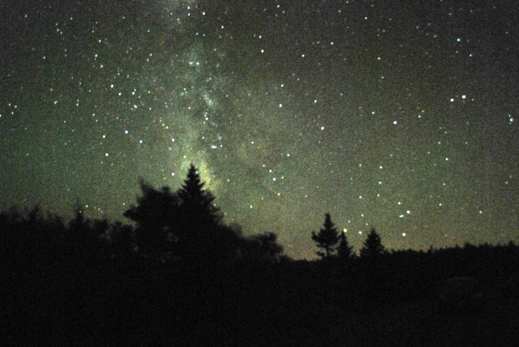 How and why to reduce light pollution on your property