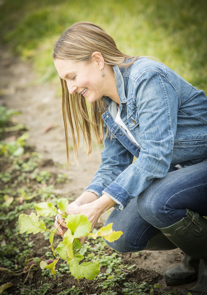 The Suburban Micro-Farm: Modern Solutions for Busy People: Stross