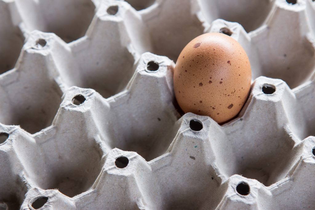 Is It Safe to Reuse Egg Cartons? Yes!