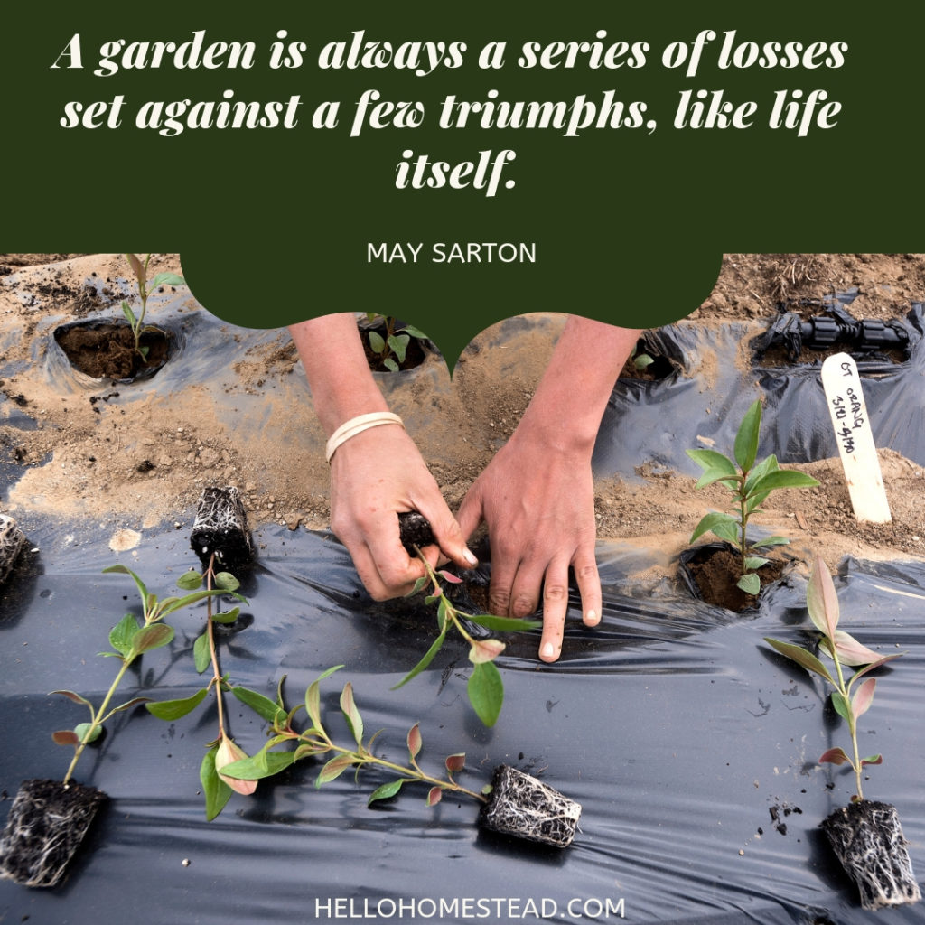 quotes on essay my hobby gardening