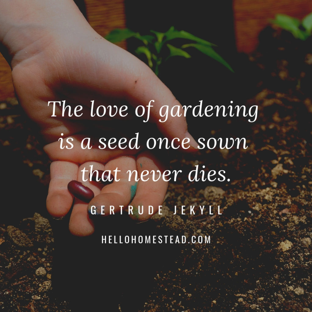 10 gardening quotes that we love Hello Homestead