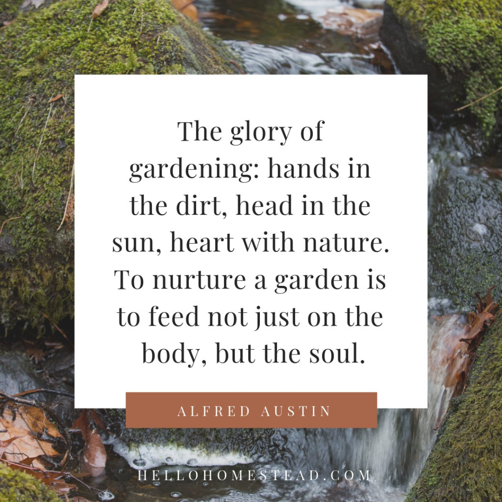 64 Inspiring Gardening Quotes (Garden Therapy Sayings)