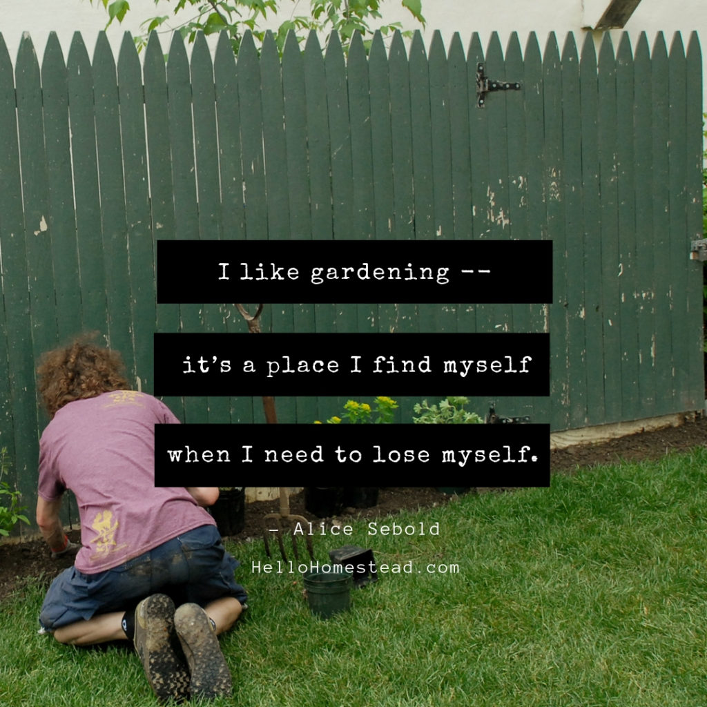 Garden Quotes Love