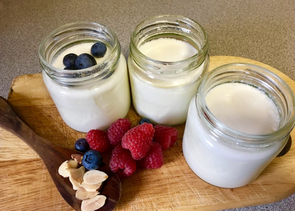 How To Make Yogurt At Home Without A Machine at Jacklyn Charles blog