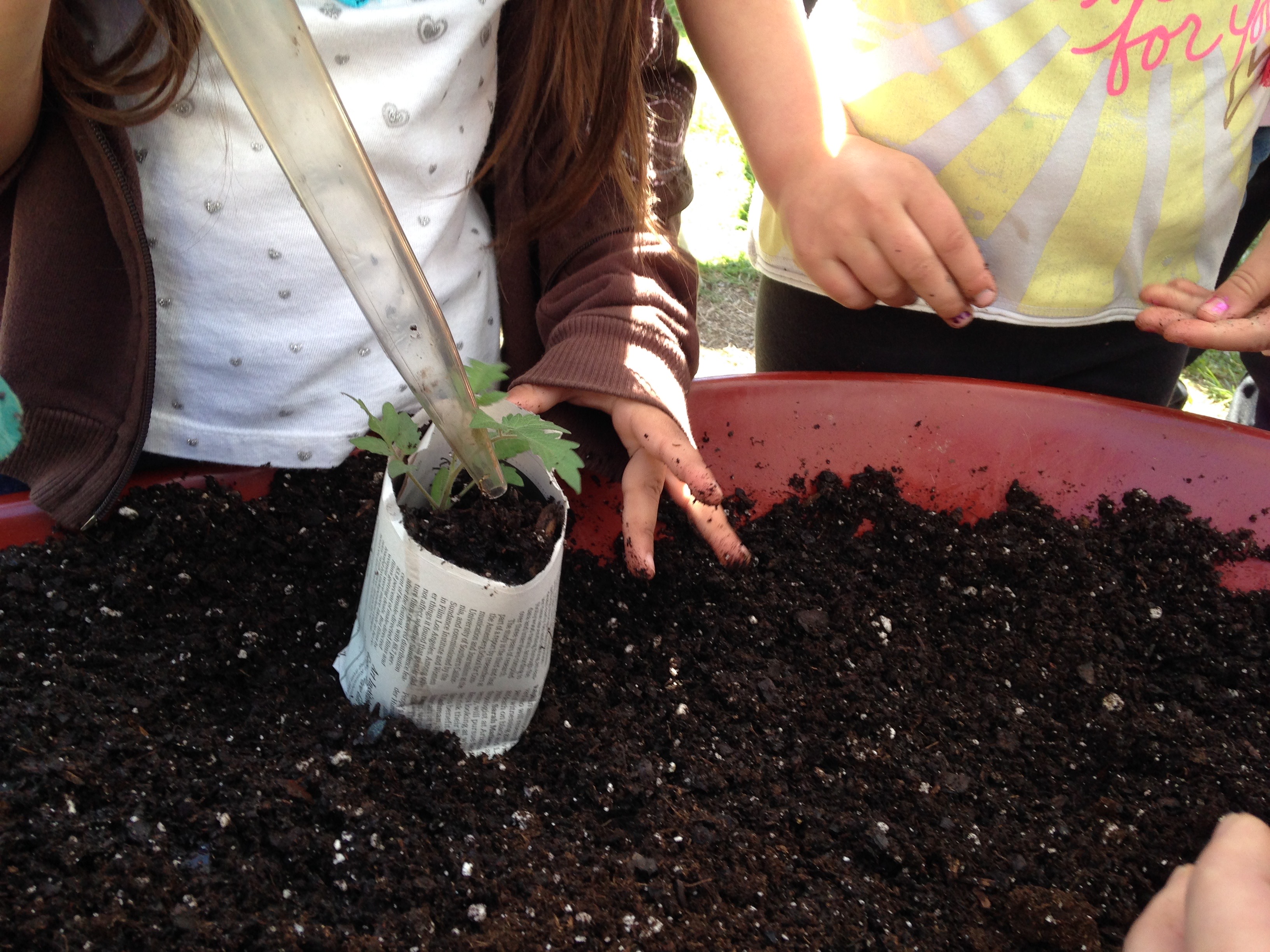 6 ways to make seedling containers to start your plants