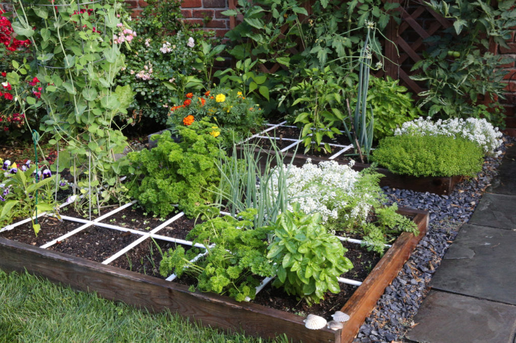 What is square foot gardening and should you try it this ...