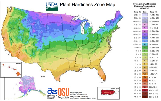  What hardiness zones mean and how to determine yours