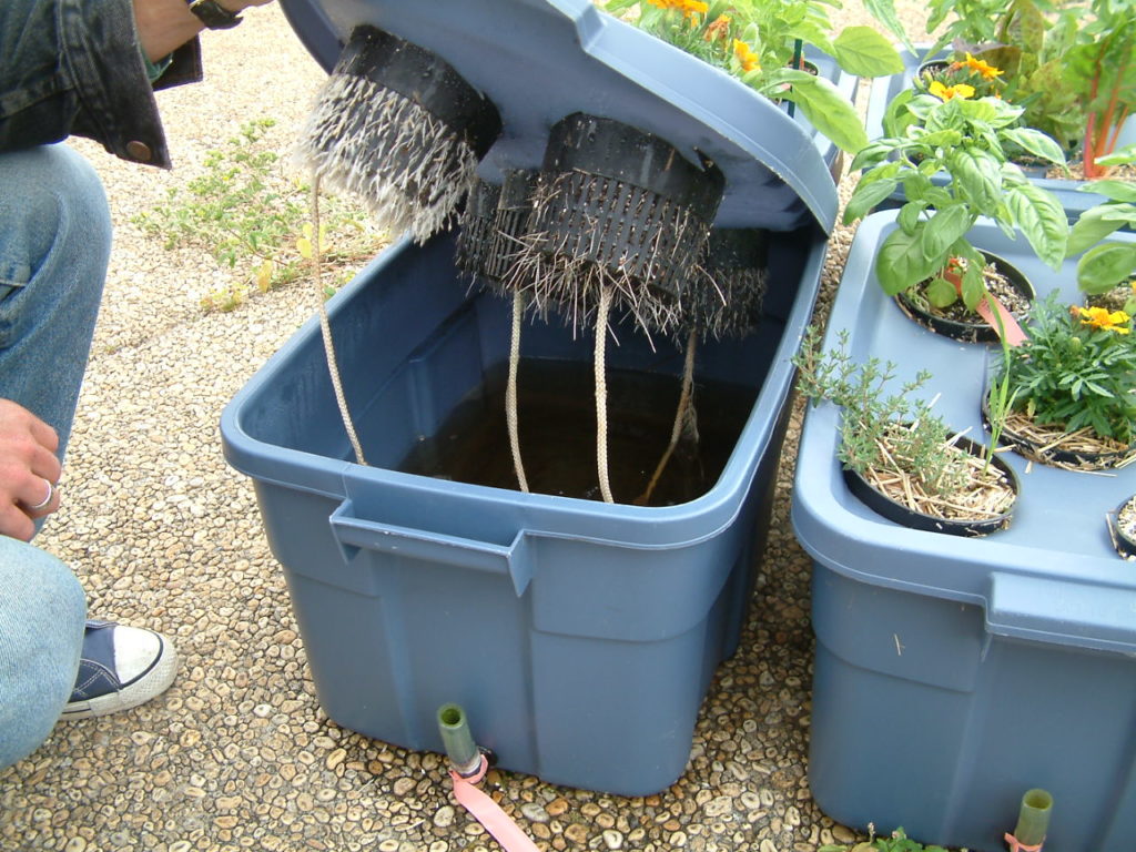 6 ways to make seedling containers to start your plants