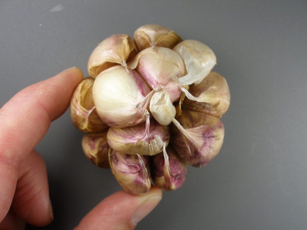 A guide to the different types of garlic