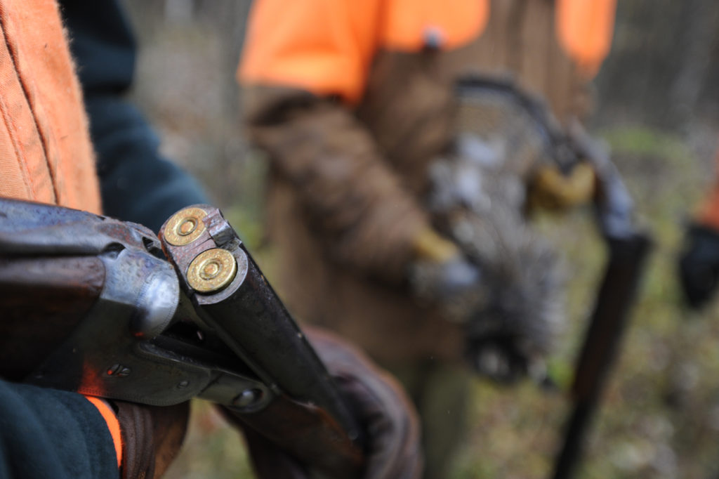 WheatonCo2 JCR How to get started with bird hunting