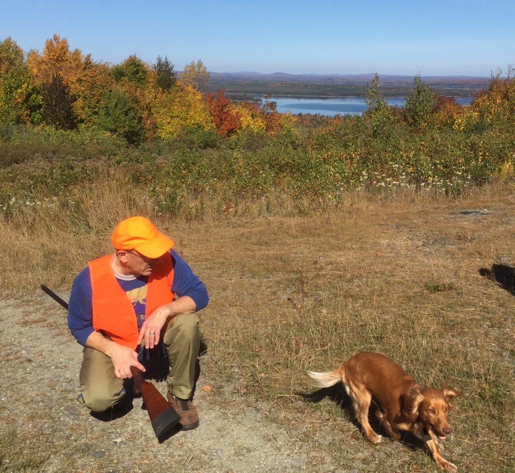 birddog101216d How to get started with bird hunting