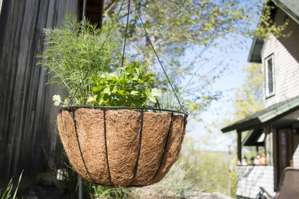 6 ways to make seedling containers to start your plants