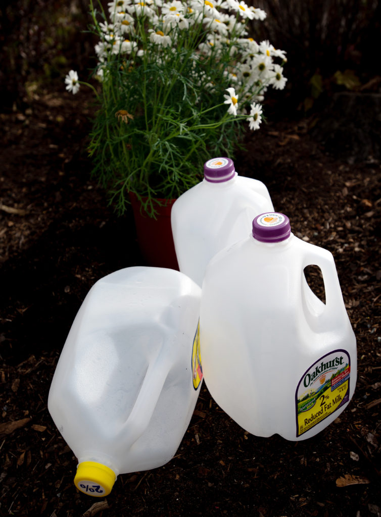 DIY self watering milk jug