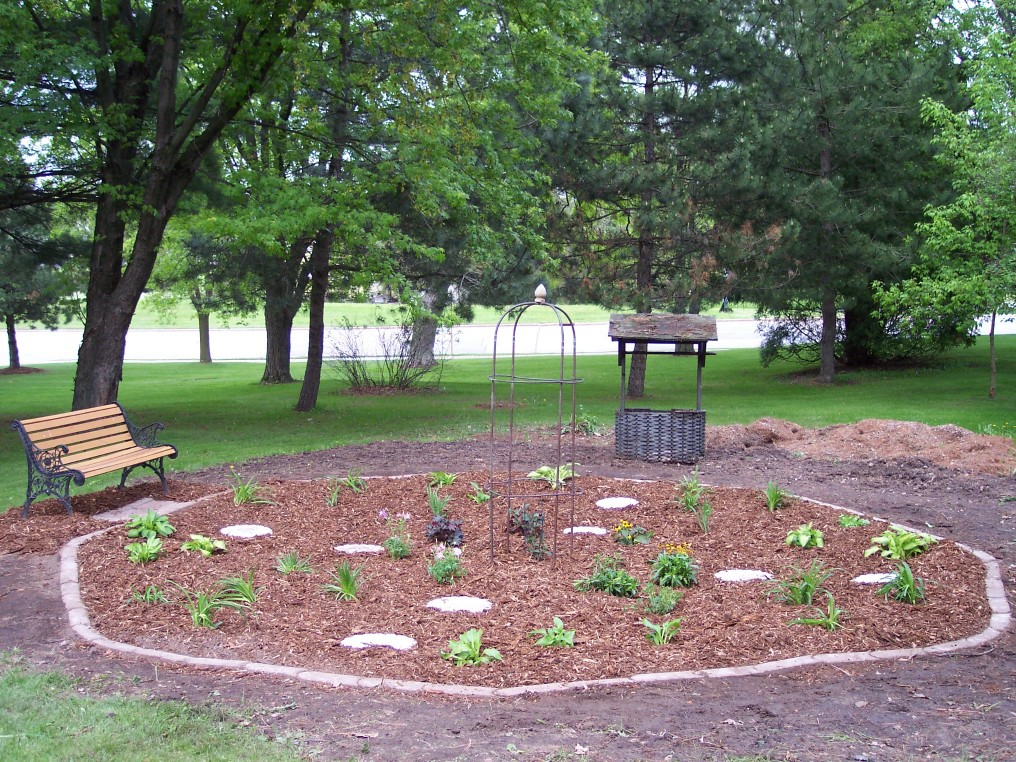 Updated app, new rules & soggy summer: time for a rain garden