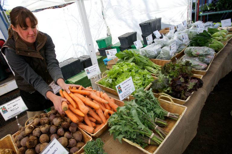 Where to sell crops Hello Homestead