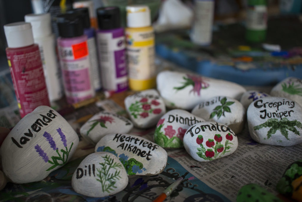 A collection of DIY plant markers made with acrylic paint and rocks. By painting the rocks white first, the plant illustrations and the names of the plants stand out better. 