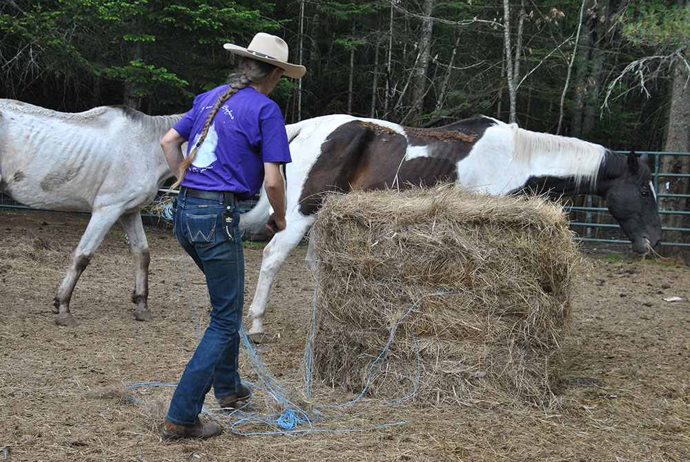 buying a hobby farm