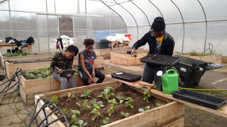 What is micro farming? | Hello Homestead