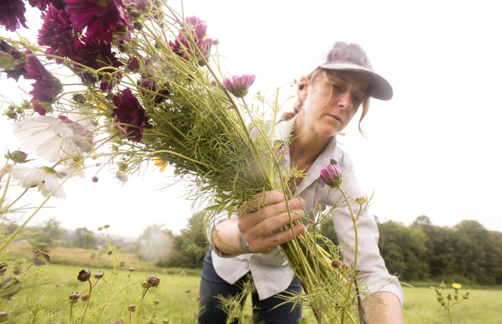 As local cut flower industry grows, research shows what ...