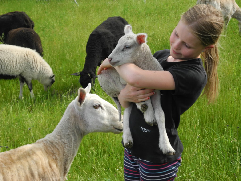 Science says babies exposed to livestock develop healthier immune systems. | Photo by Abigail Curtis