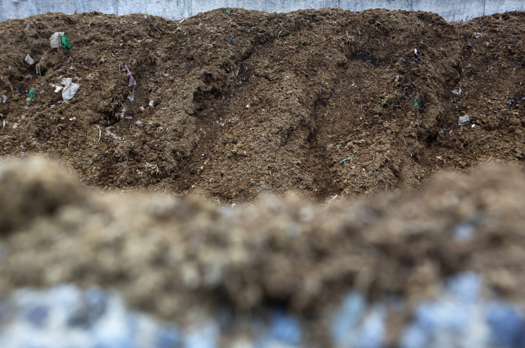 A large pile of compost created by composting cow manure.