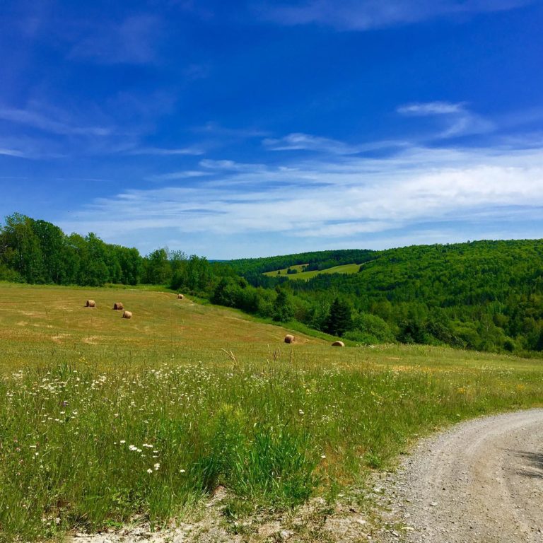 Why do I choose to live in rural northern Maine? | Hello Homestead