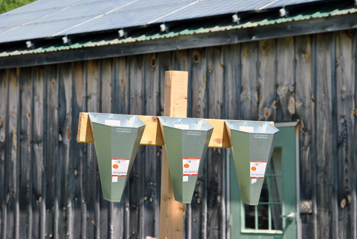 Backyard chicken processing 101 | Hello Homestead