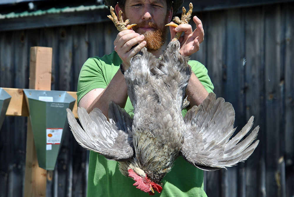 Small Scale Poultry Processing Equipment and Stations - Backyard Poultry