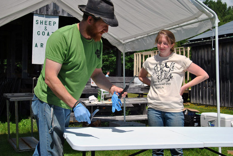 Backyard chicken processing 101 | Hello Homestead