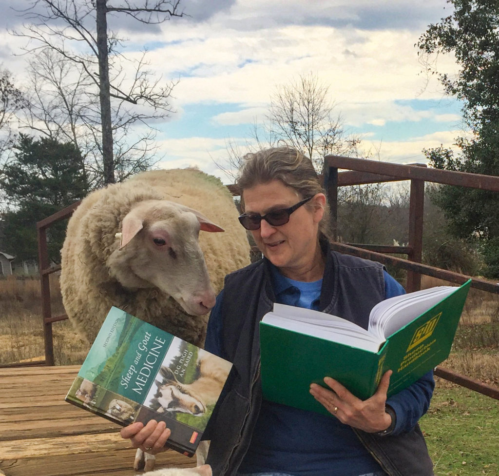 Debbie Webster, owner of Whispering Pines Farm and Dairy in South Carolina, pretends to read to one of her dairy sheep. | Photo by Maggie Webster