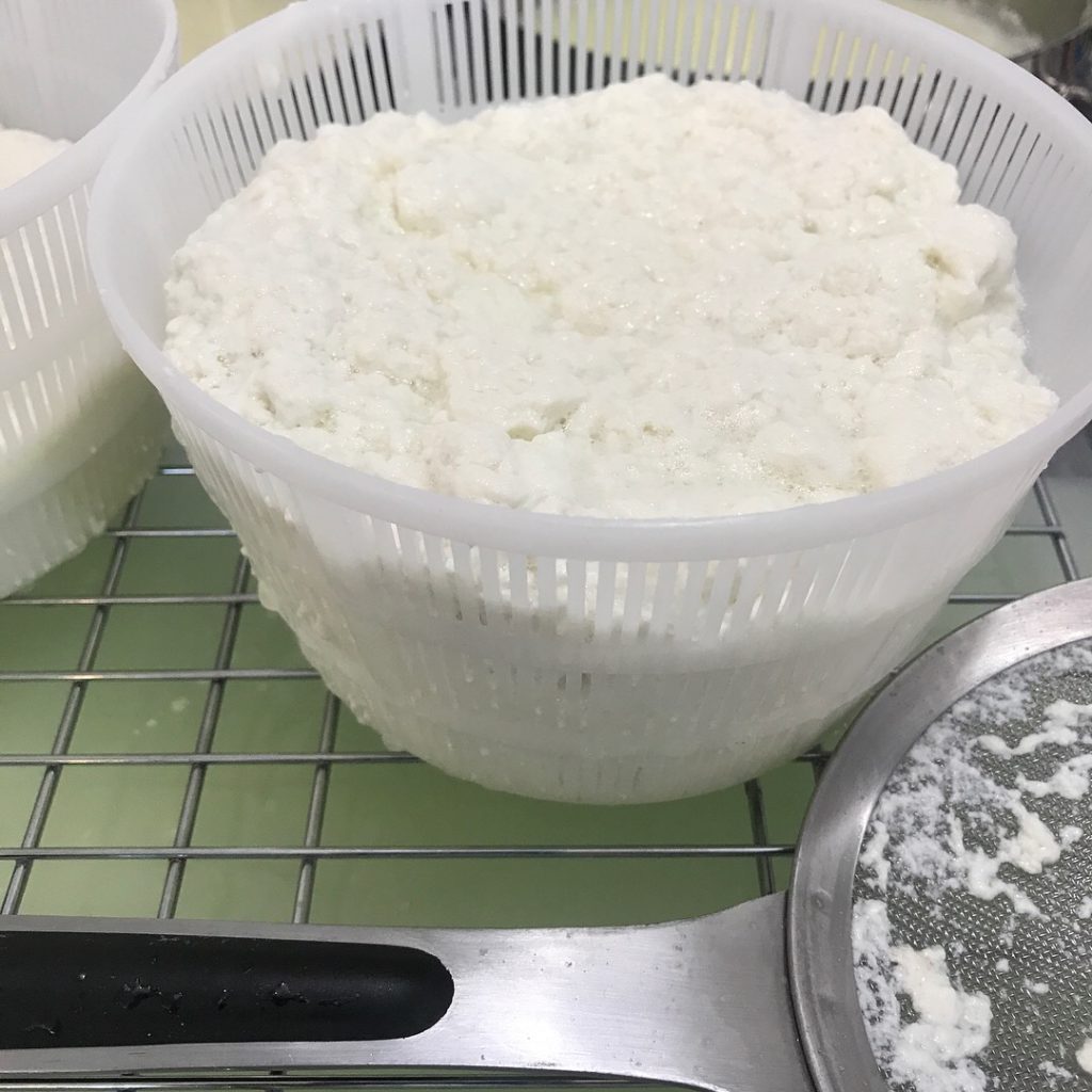 Ricotta made out of sheep milk at Whispering Pines Farm and Dairy. | Photo by Debbie Webster