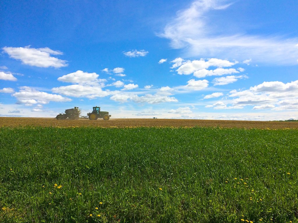 hobby farm vs homestead