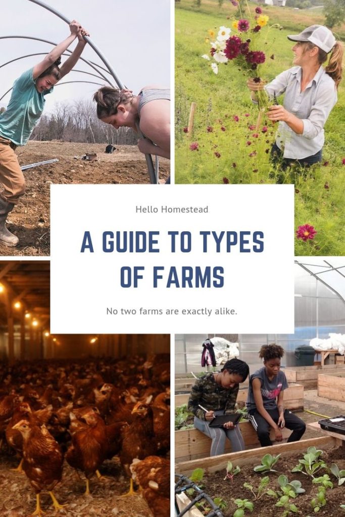 New Farmer's Guide to the Commercial Broiler Industry: Farm Types