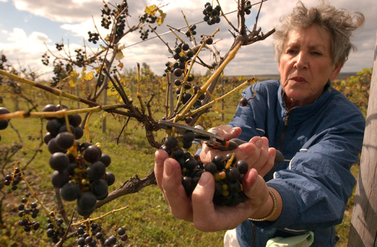 A guide to types of farms Hello Homestead