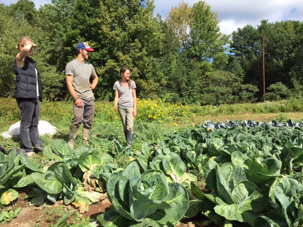 different types of agriculture