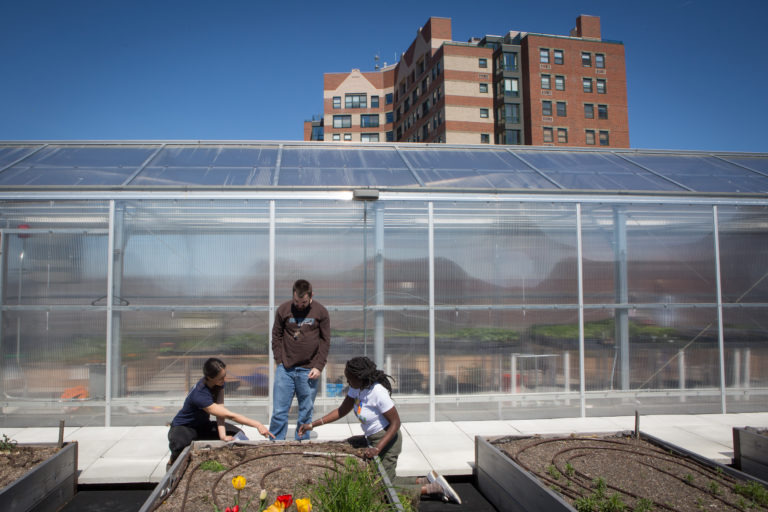 A guide to types of farms Hello Homestead