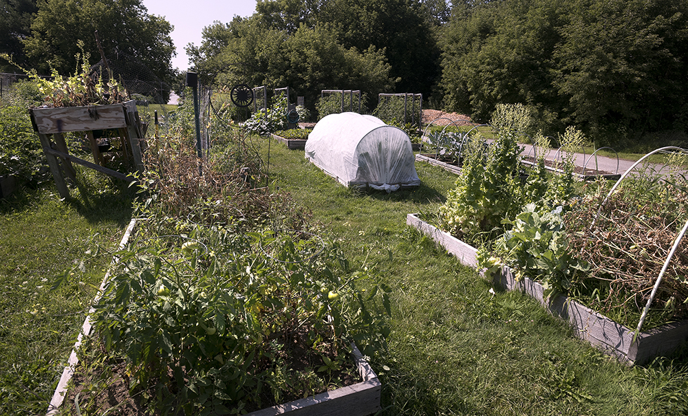 Raised Garden Bed Prep