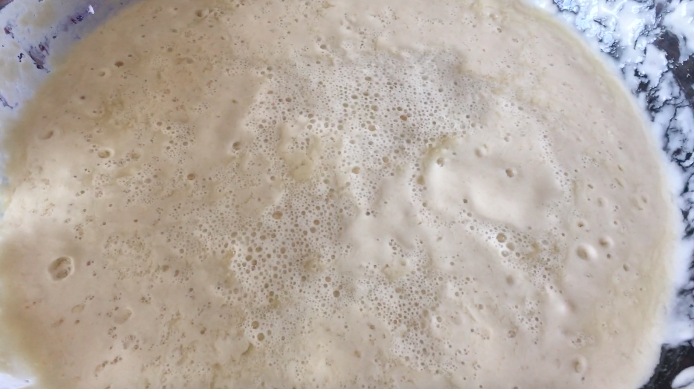 How To Dry Sourdough Starter - Farmhouse on Boone