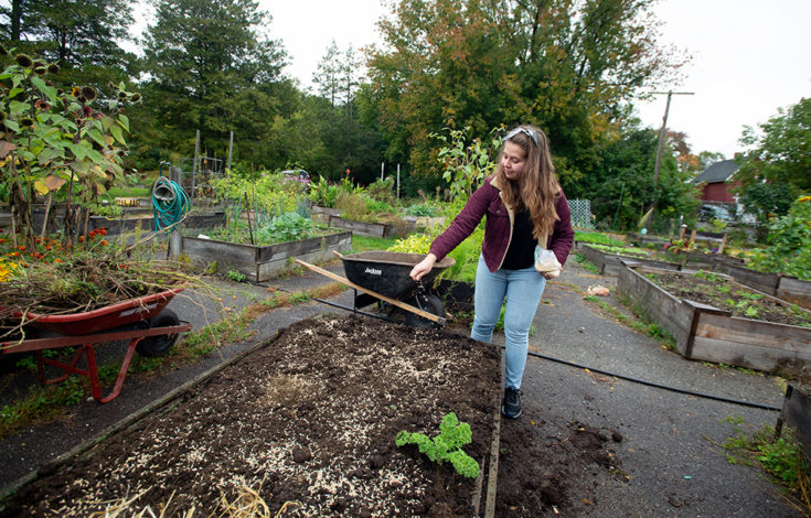 4 ways to build a raised bed for gardening | Hello Homestead