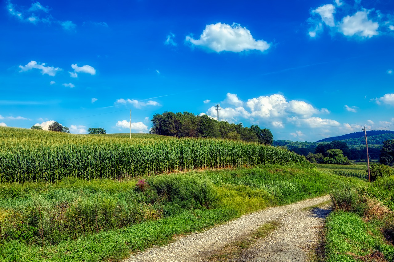 How to start homesteading in New Jersey Hello Homestead