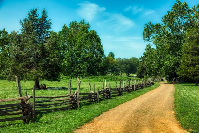 How to start homesteading in New Jersey | Hello Homestead