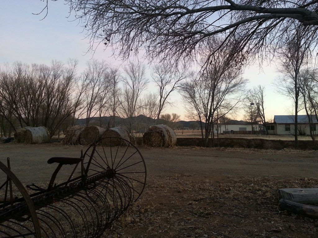 A ranch in Arizona. Image by <a href="https://pixabay.com/users/Katelina-4036/?utm_source=link-attribution&utm_medium=referral&utm_campaign=image&utm_content=259761">Katelina</a> from <a href="https://pixabay.com/?utm_source=link-attribution&utm_medium=referral&utm_campaign=image&utm_content=259761">Pixabay</a>” class=”wp-image-2650472″/><figcaption>Image by <a href=