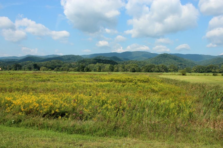 How to start homesteading in West Virginia Hello Homestead