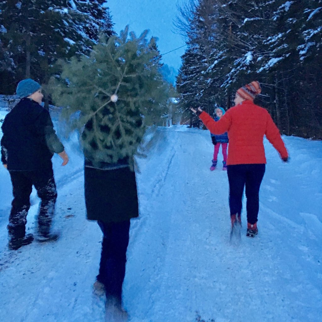 A group of four people carry a freshly cut Christmas tree down a snow-covered road.