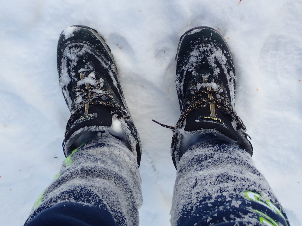 Close up of boots and lower legs covered in snow.