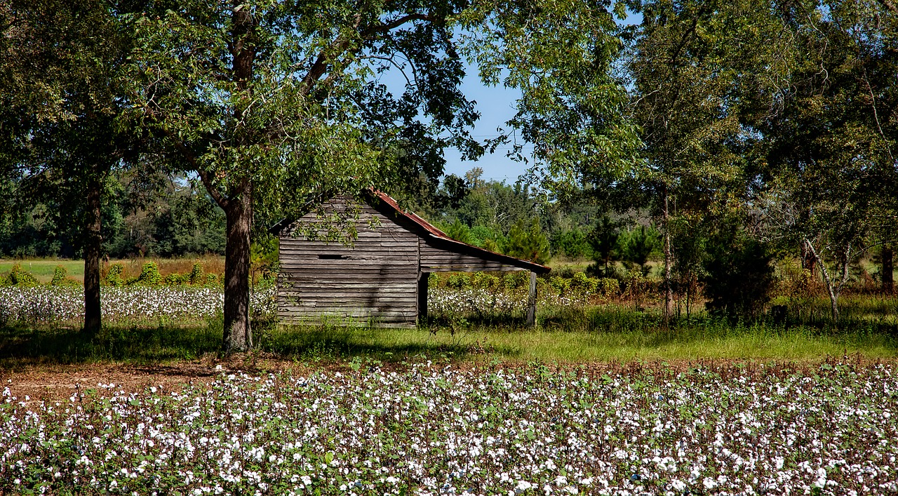 How to start homesteading in Alabama Hello Homestead